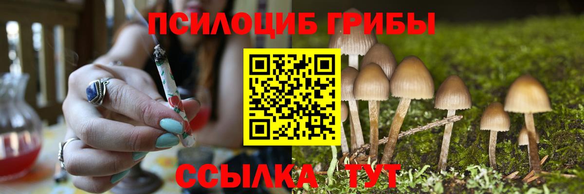 Галлюциногенные грибы Cubensis  Вход с VPN  Лыткарино 